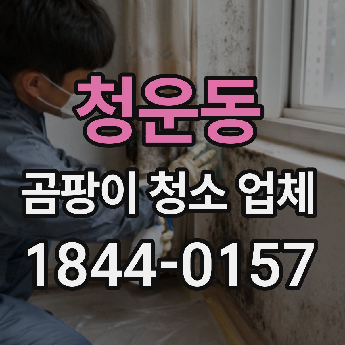 청운동 곰팡이 청소 업체
