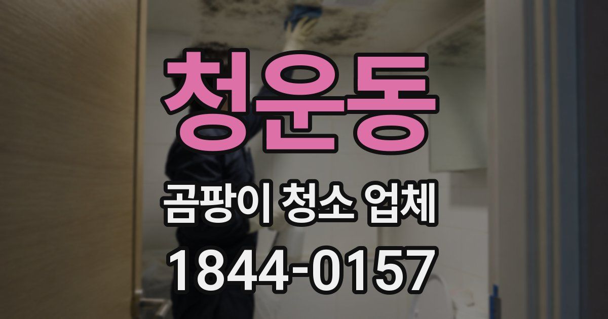 청운동 곰팡이 청소 업체
