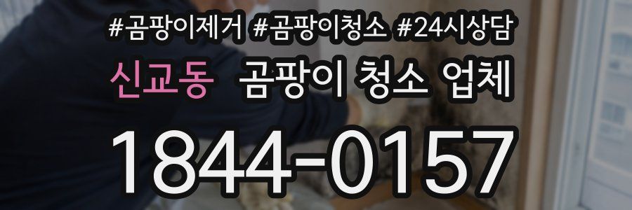 신교동 곰팡이 청소 업체