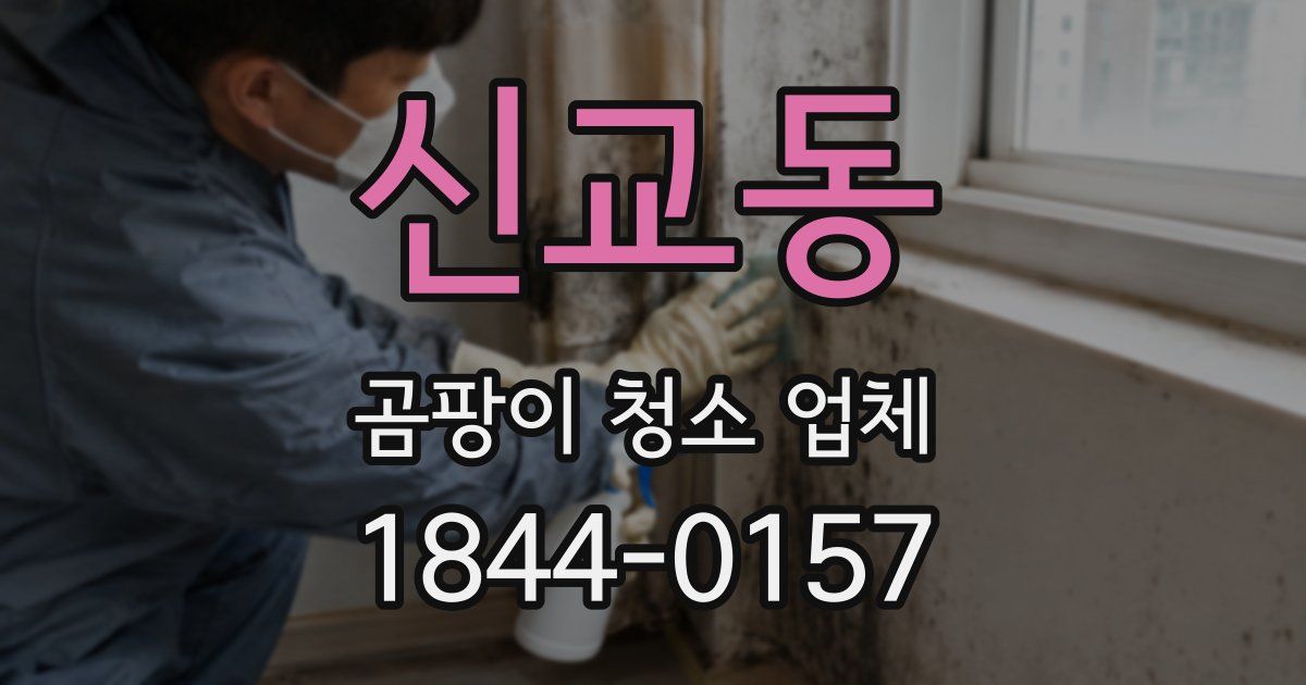 신교동 곰팡이 청소 업체