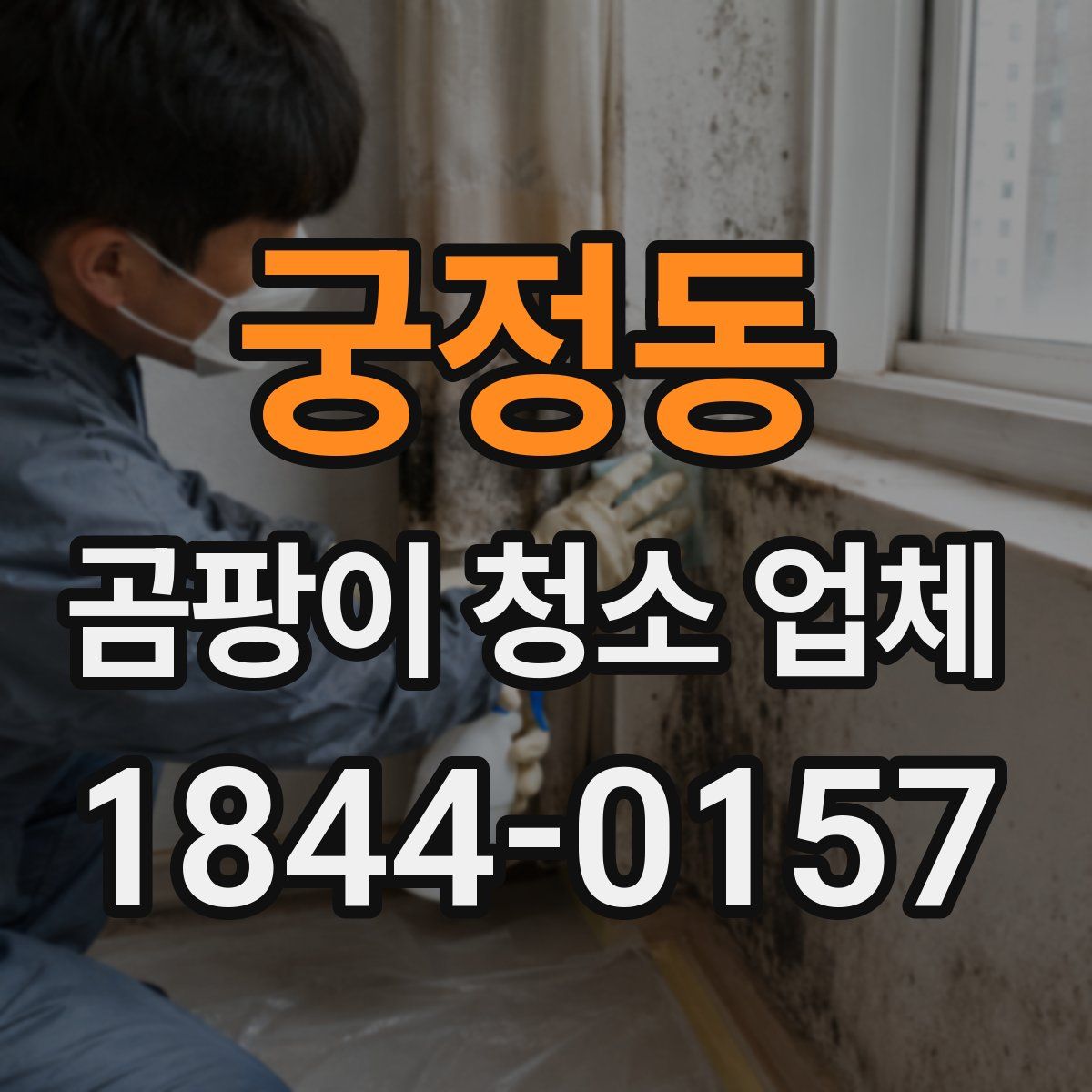 궁정동 곰팡이 청소 업체