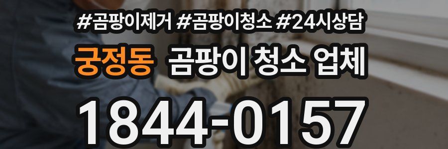 궁정동 곰팡이 청소 업체