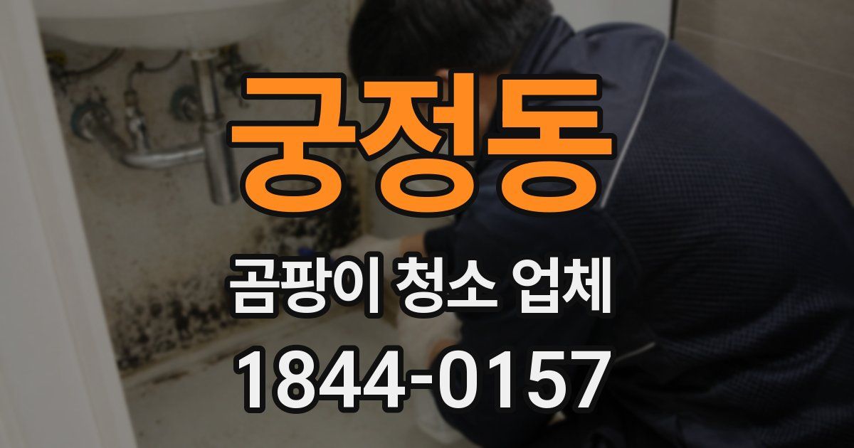 궁정동 곰팡이 청소 업체