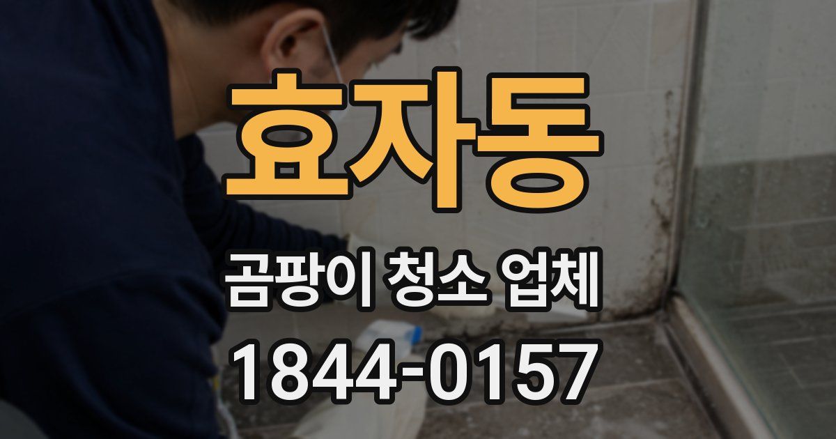 효자동 곰팡이 청소 업체