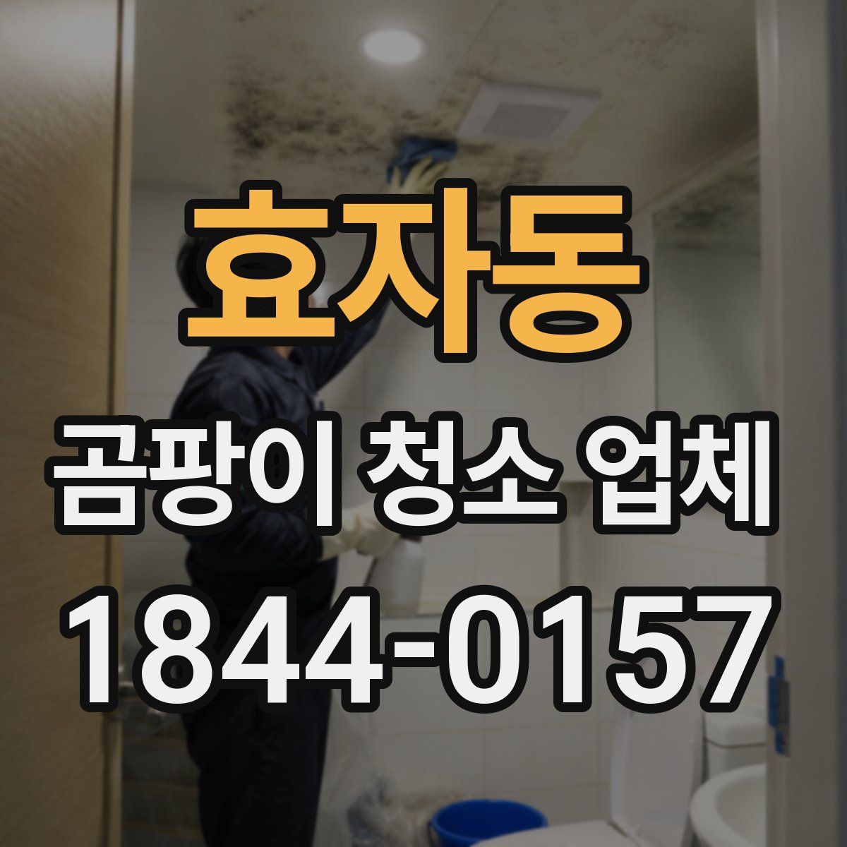 효자동 곰팡이 청소 업체