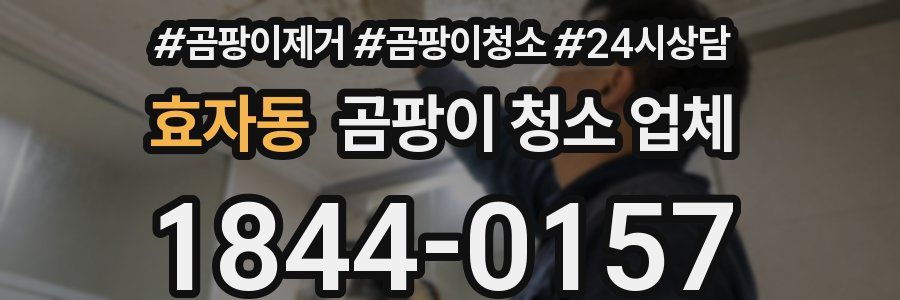 효자동 곰팡이 청소 업체
