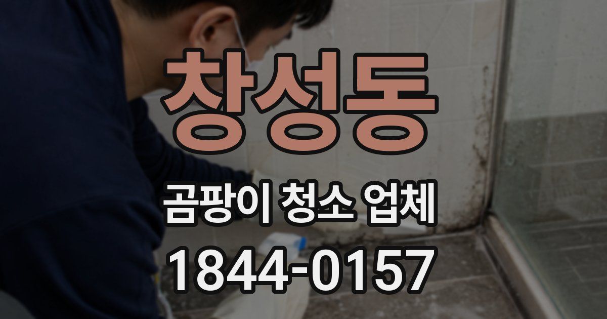 창성동 곰팡이 청소 업체
