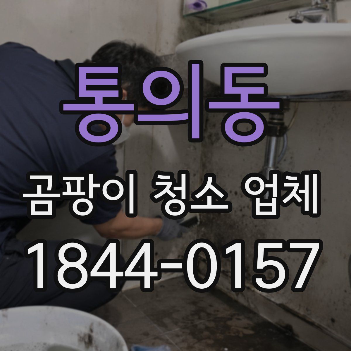 통의동 곰팡이 청소 업체