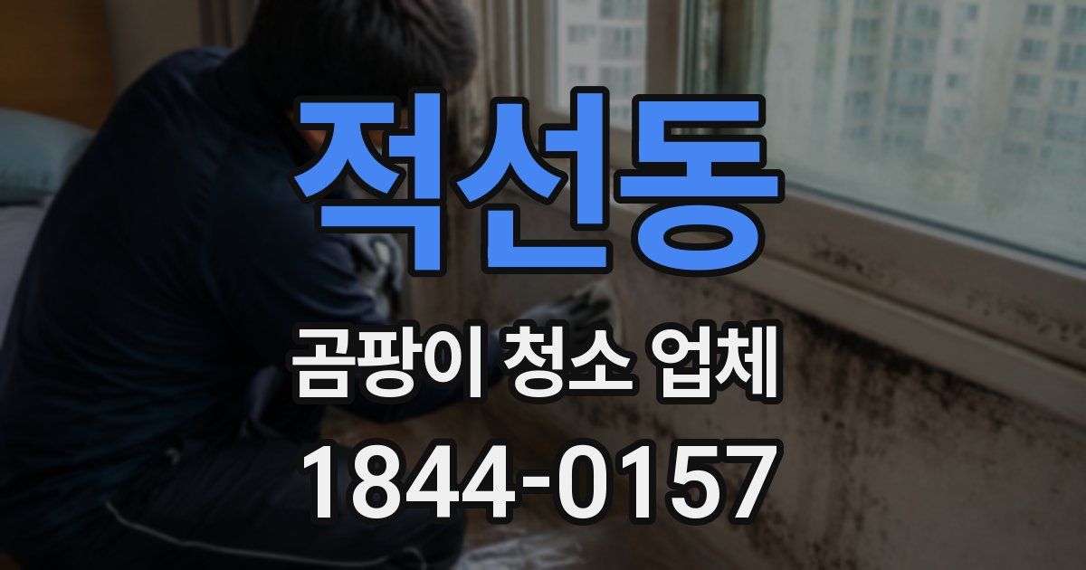적선동 곰팡이 청소 업체