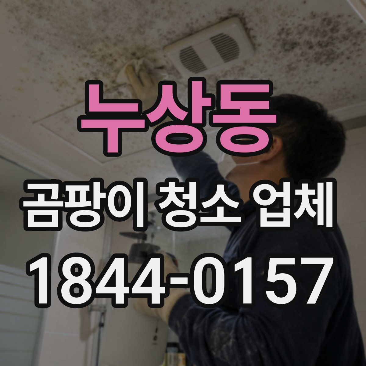 누상동 곰팡이 청소 업체