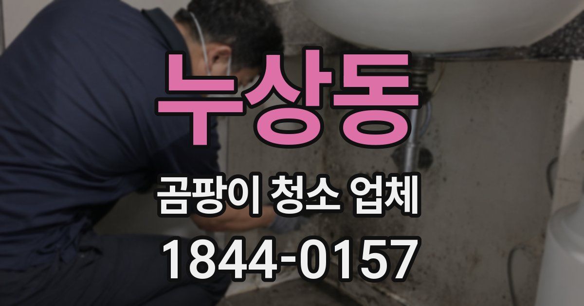 누상동 곰팡이 청소 업체