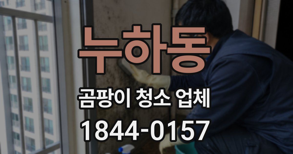 누하동 곰팡이 청소 업체