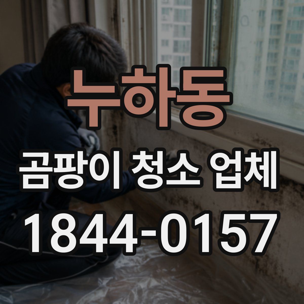 누하동 곰팡이 청소 업체