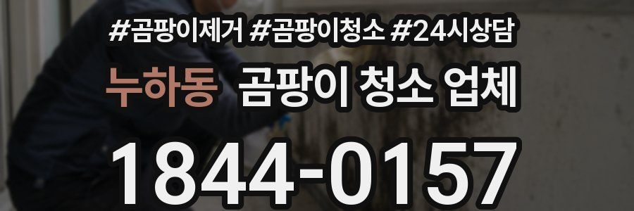 누하동 곰팡이 청소 업체