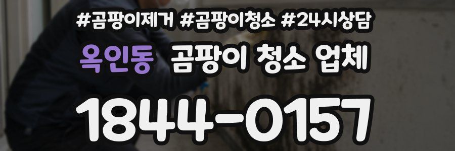 옥인동 곰팡이 청소 업체