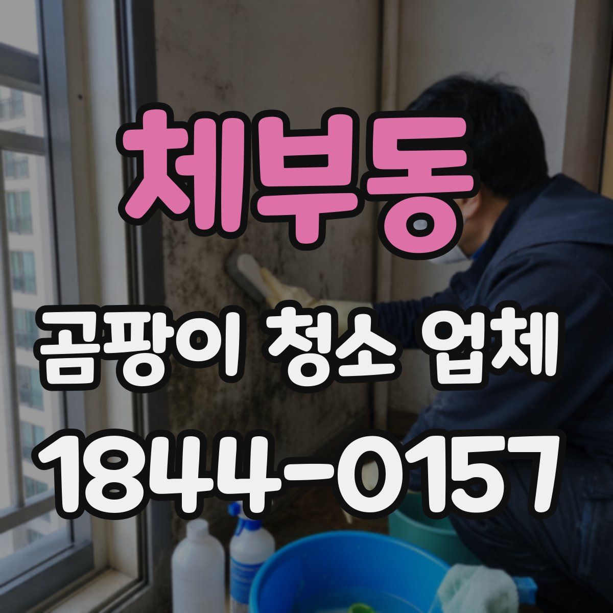 체부동 곰팡이 청소 업체