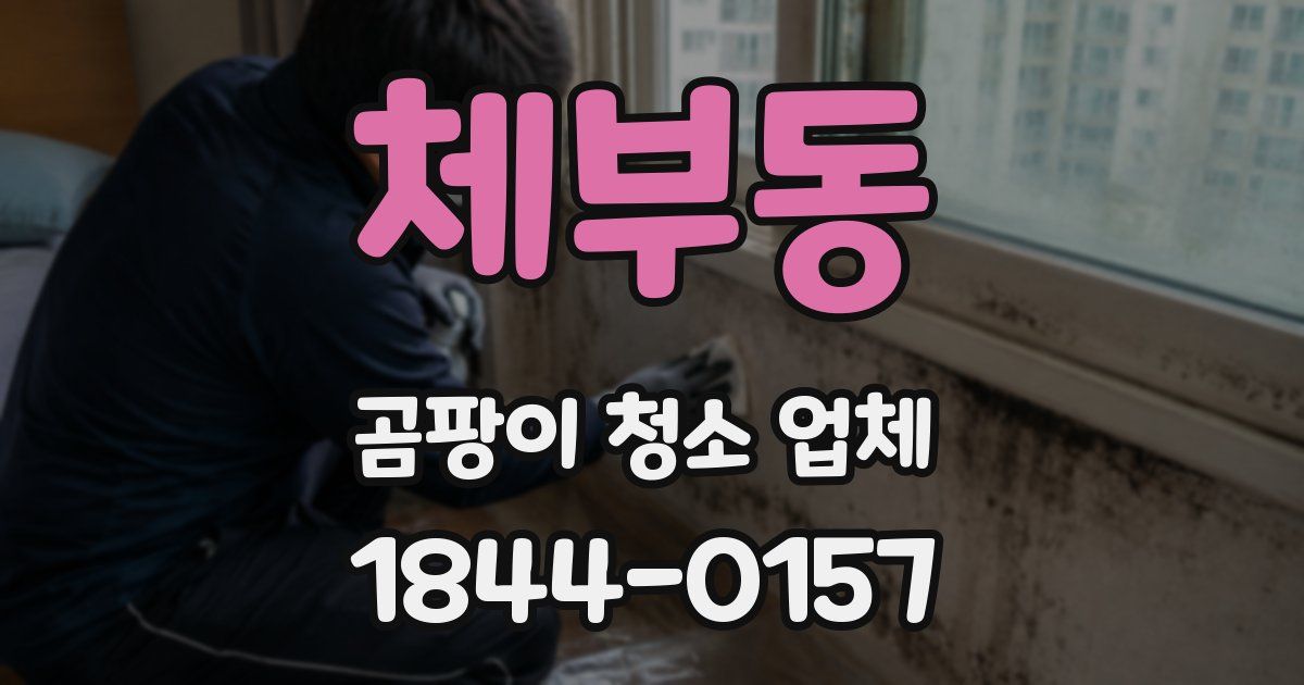 체부동 곰팡이 청소 업체