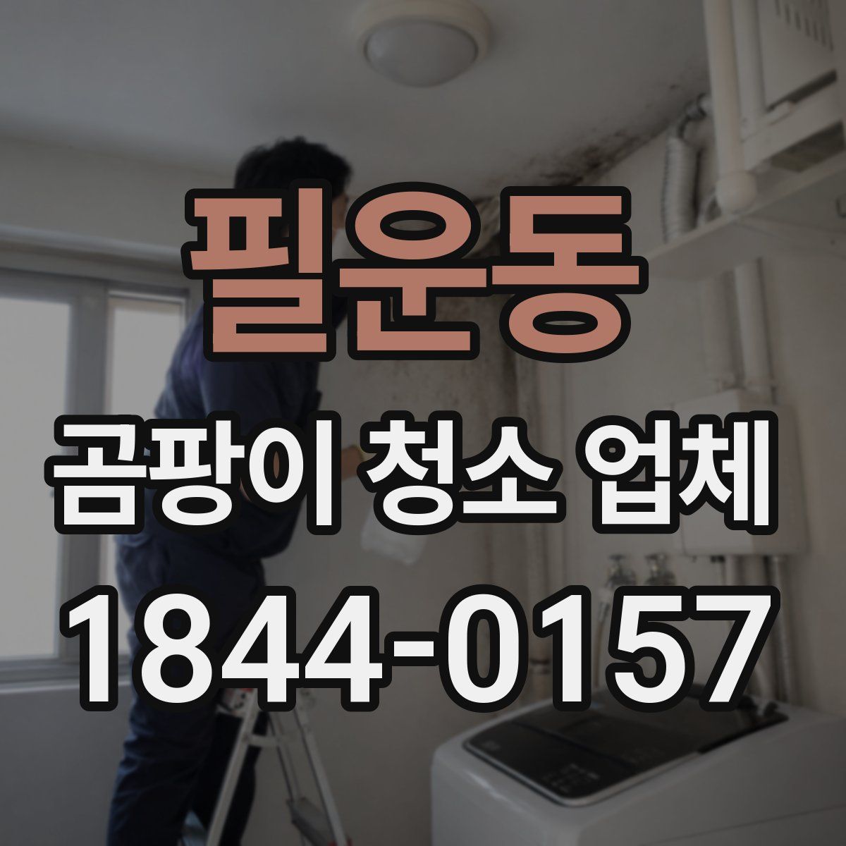 필운동 곰팡이 청소 업체