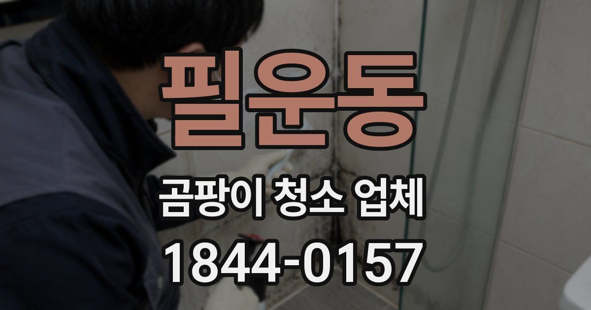 필운동 곰팡이 청소 업체