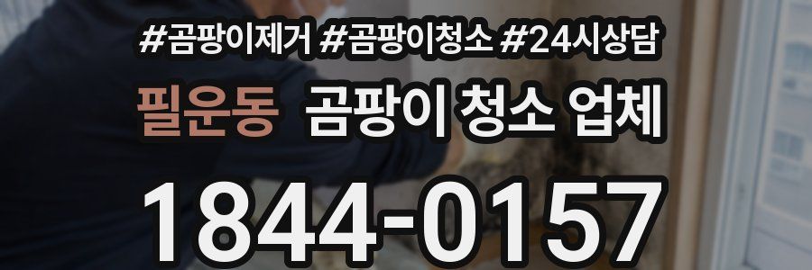 필운동 곰팡이 청소 업체