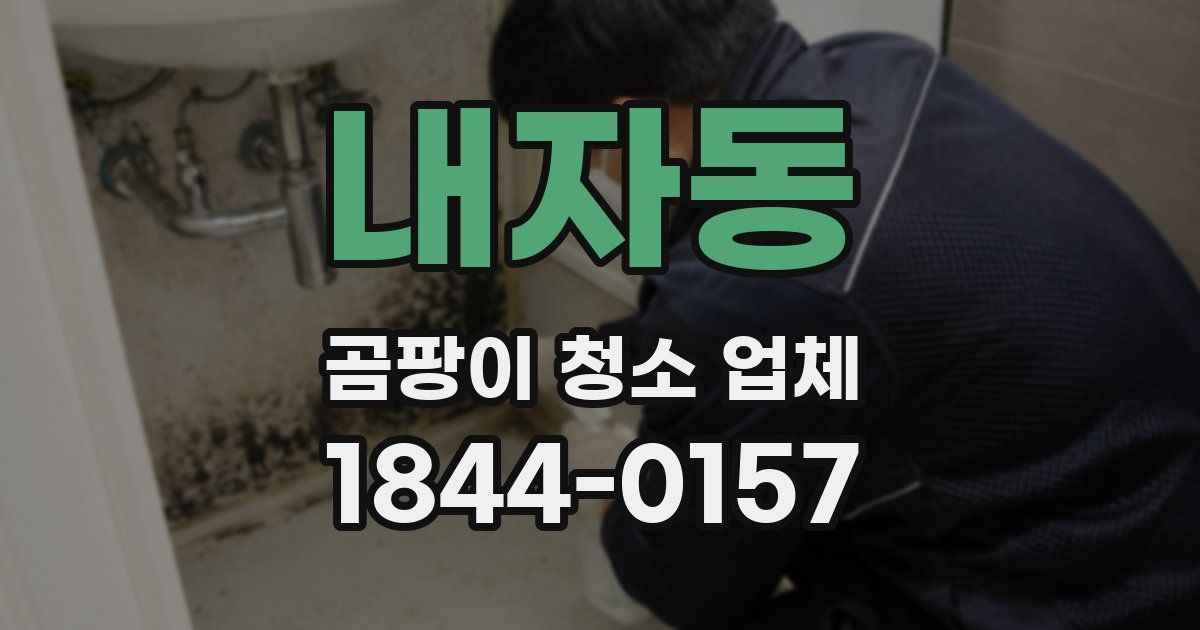 내자동 곰팡이 청소 업체