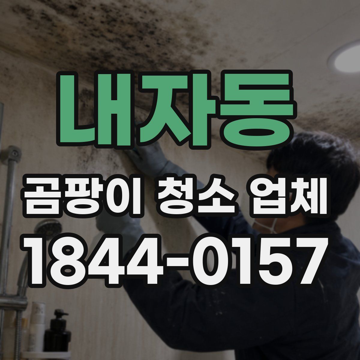 내자동 곰팡이 청소 업체