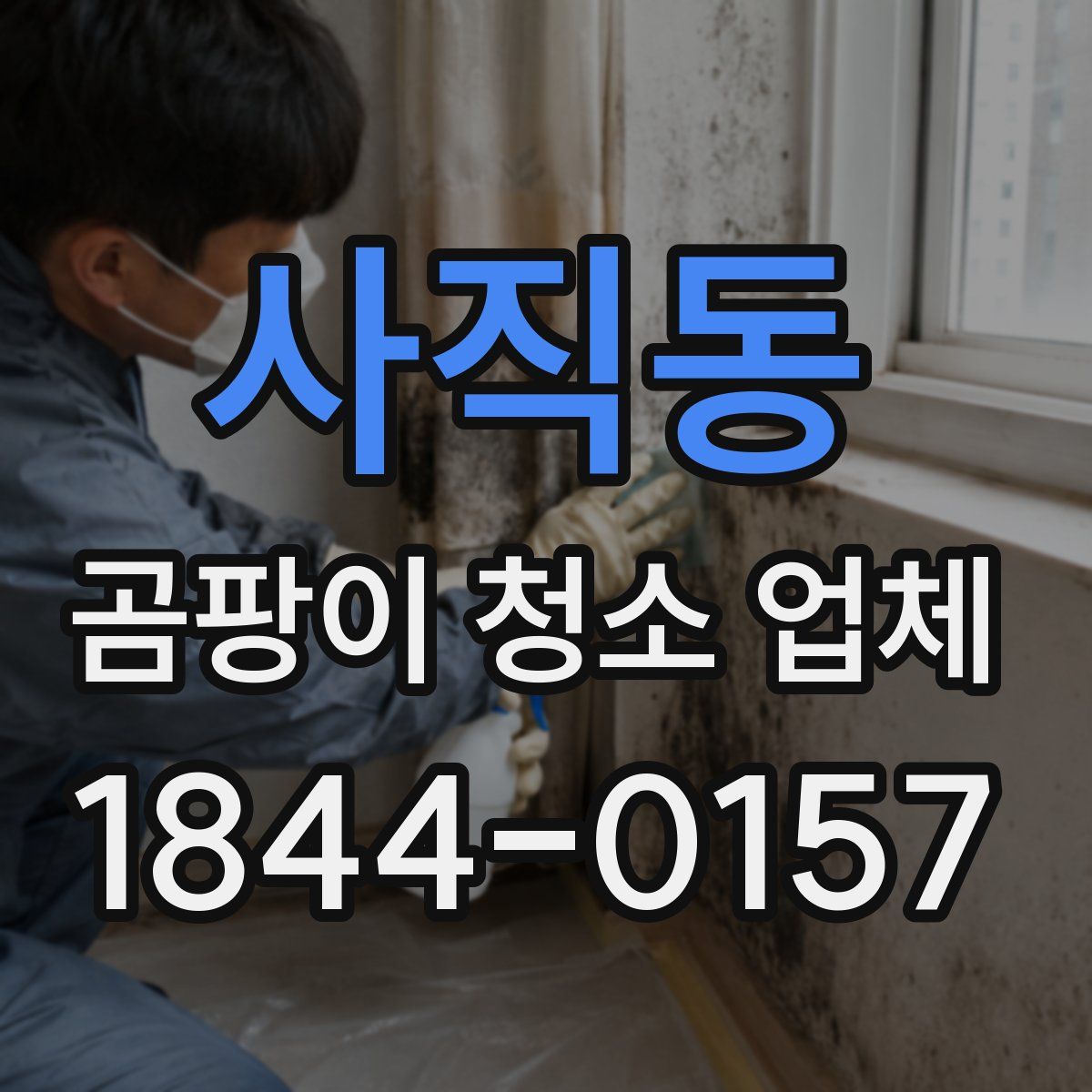 사직동 곰팡이 청소 업체