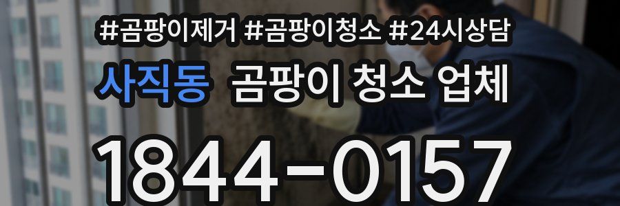 사직동 곰팡이 청소 업체