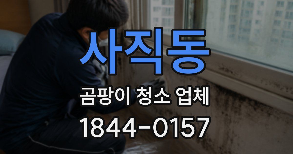 사직동 곰팡이 청소 업체