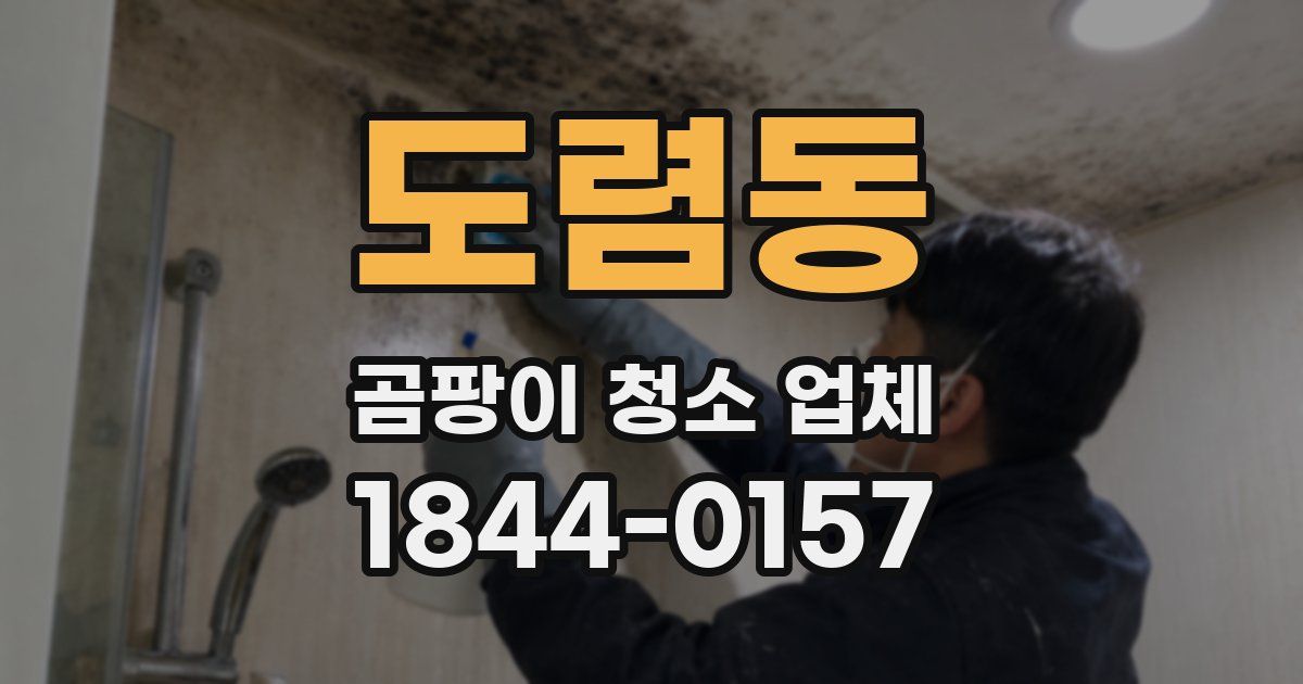도렴동 곰팡이 청소 업체