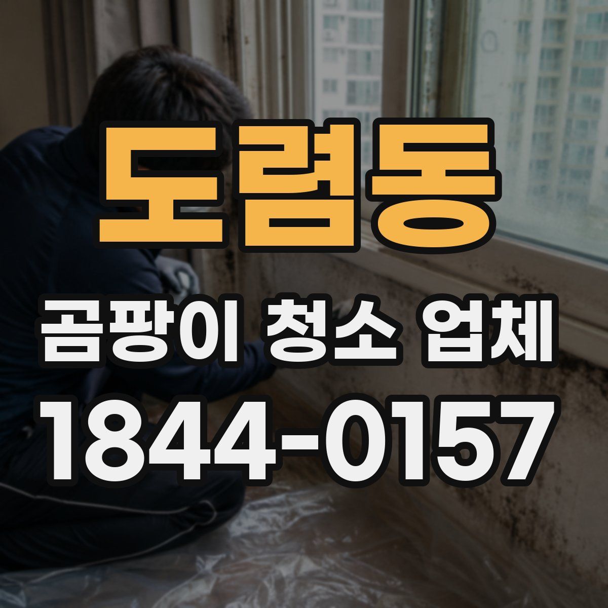 도렴동 곰팡이 청소 업체