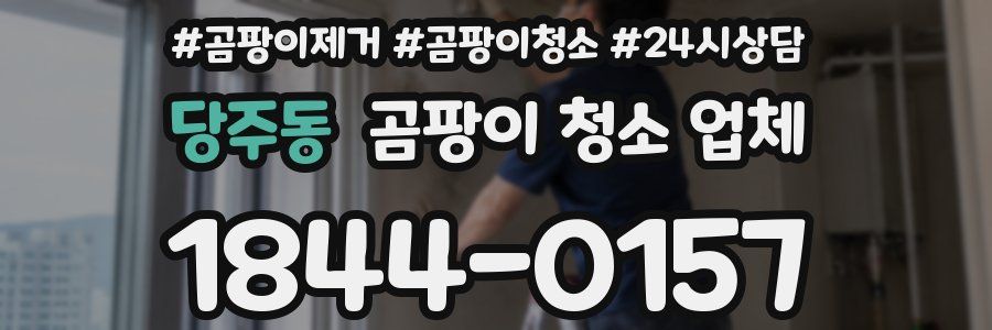 당주동 곰팡이 청소 업체