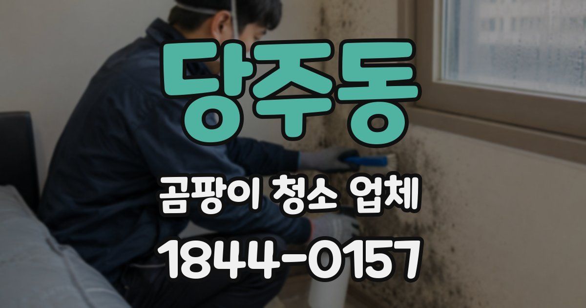 당주동 곰팡이 청소 업체