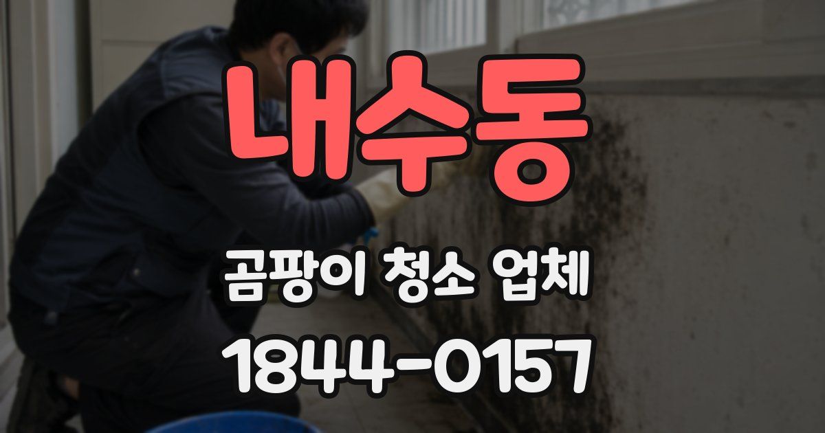 내수동 곰팡이 청소 업체