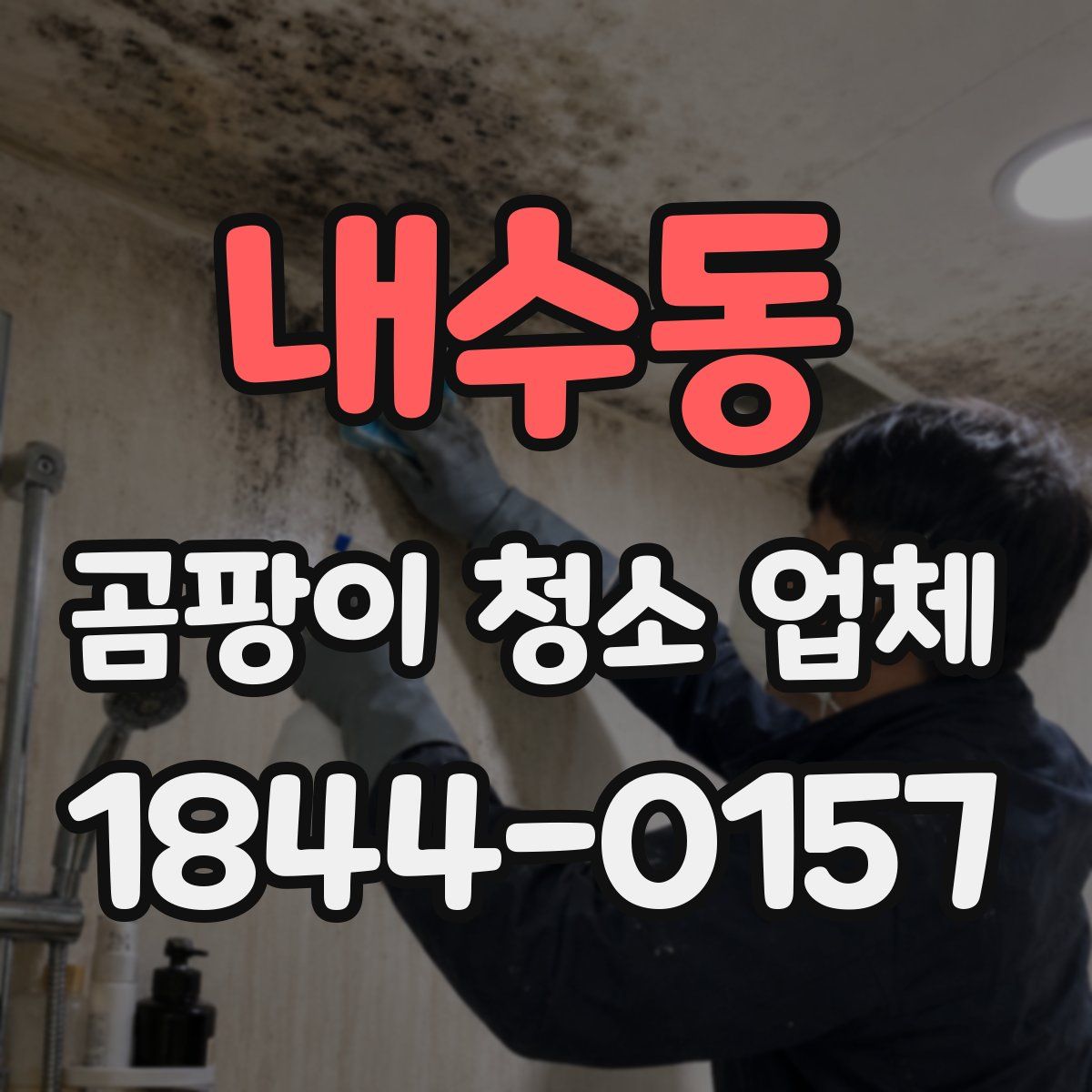 내수동 곰팡이 청소 업체
