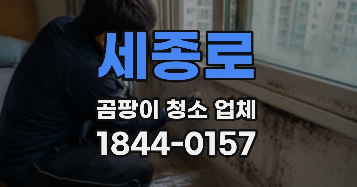 세종로 곰팡이 청소 업체