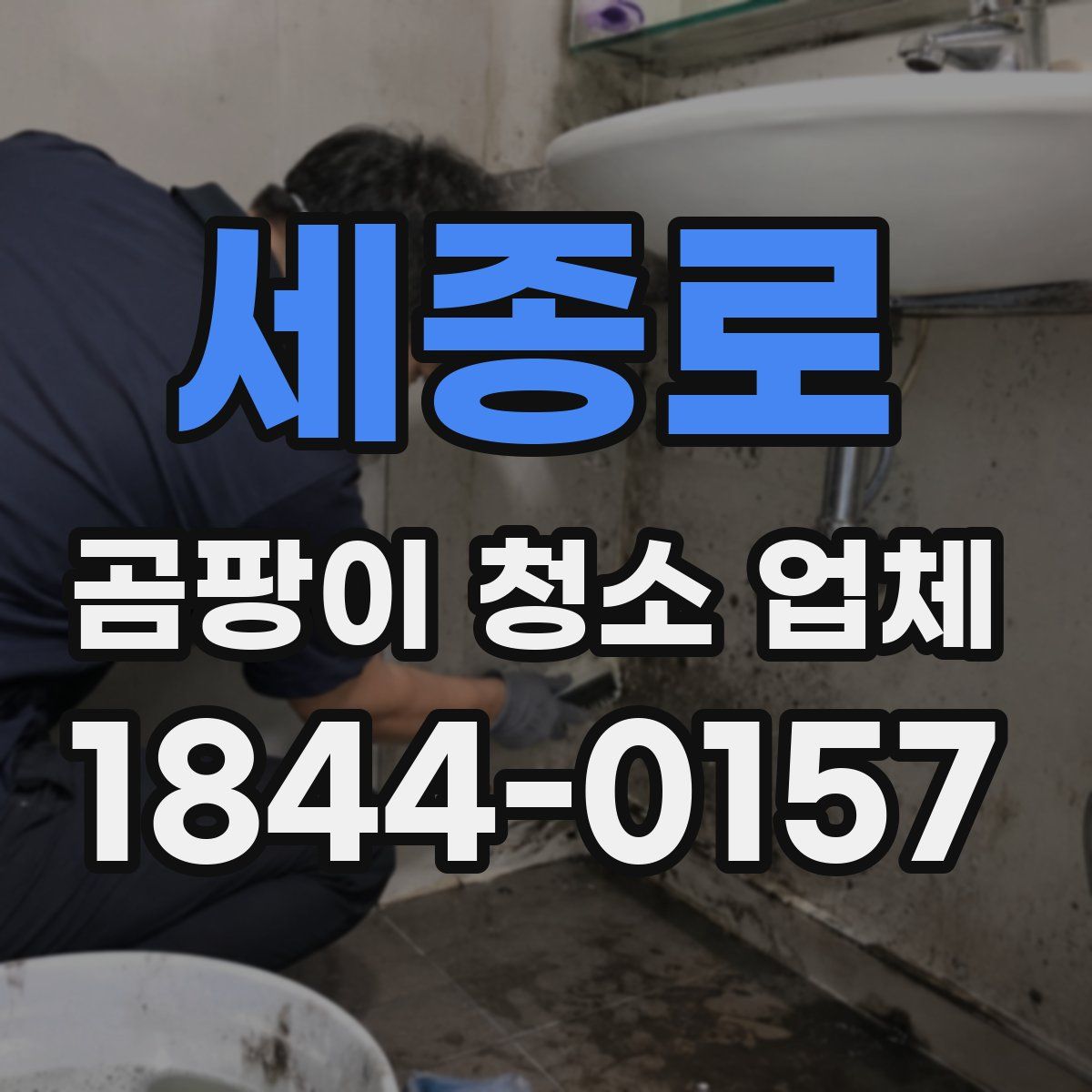 세종로 곰팡이 청소 업체