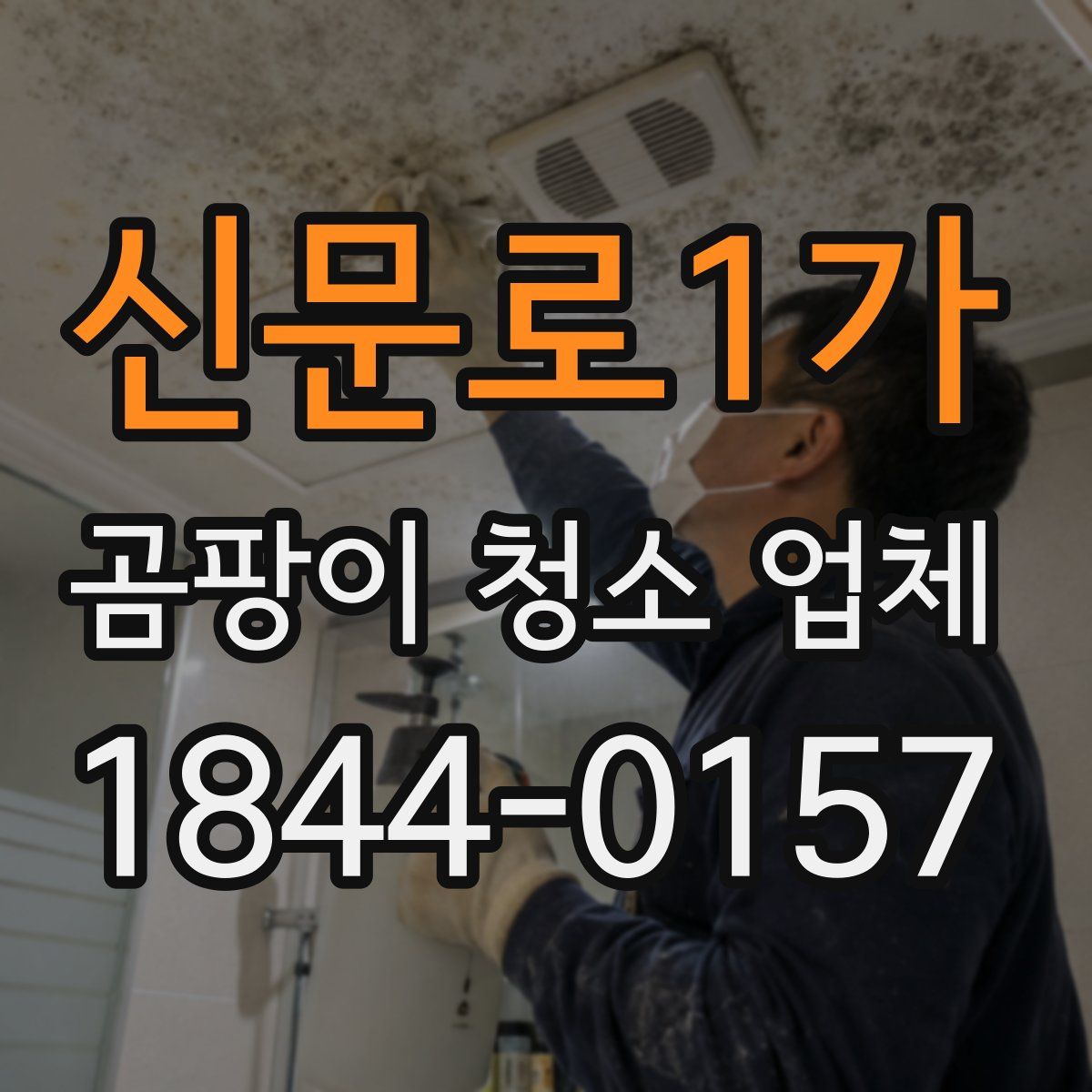 신문로1가 곰팡이 청소 업체
