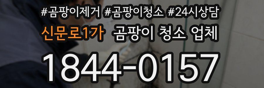 신문로1가 곰팡이 청소 업체