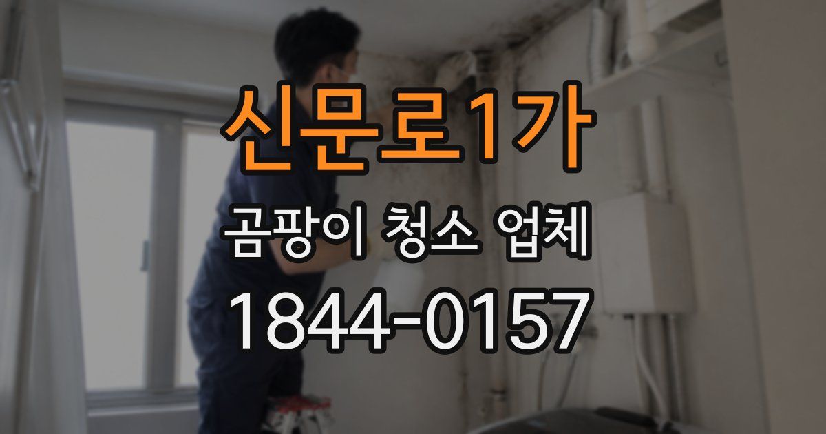 신문로1가 곰팡이 청소 업체