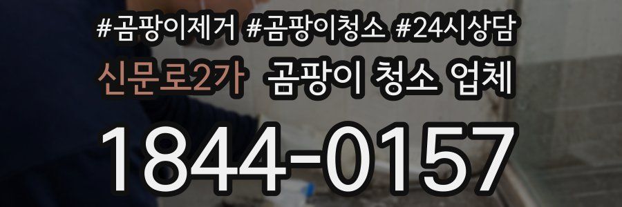 신문로2가 곰팡이 청소 업체