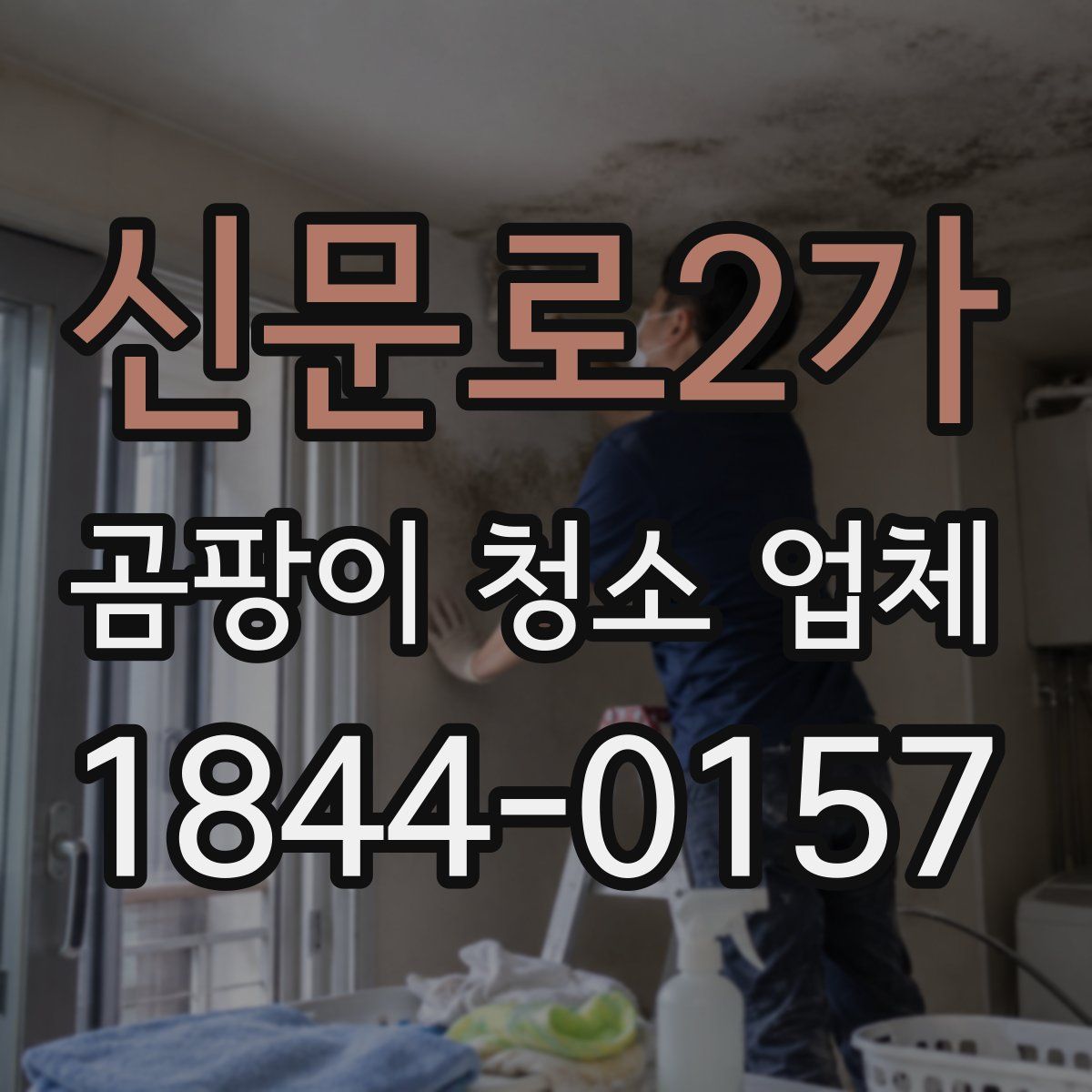 신문로2가 곰팡이 청소 업체