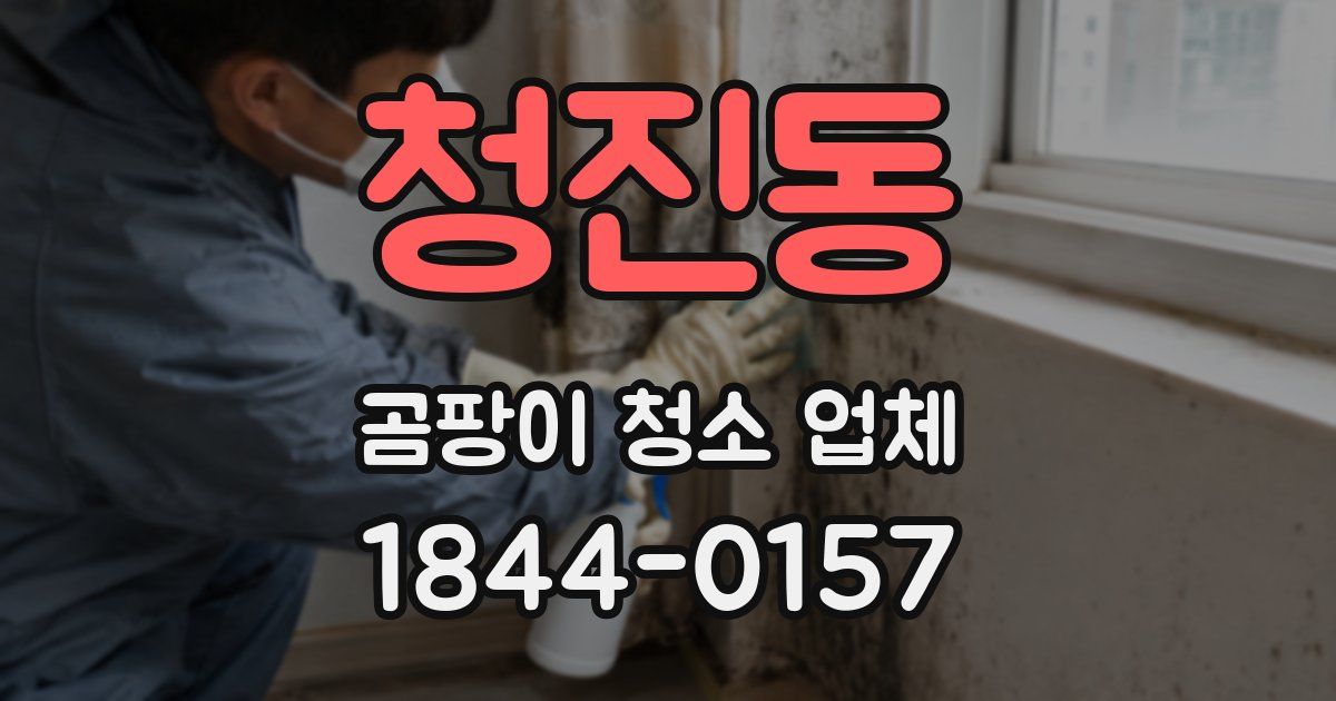 청진동 곰팡이 청소 업체
