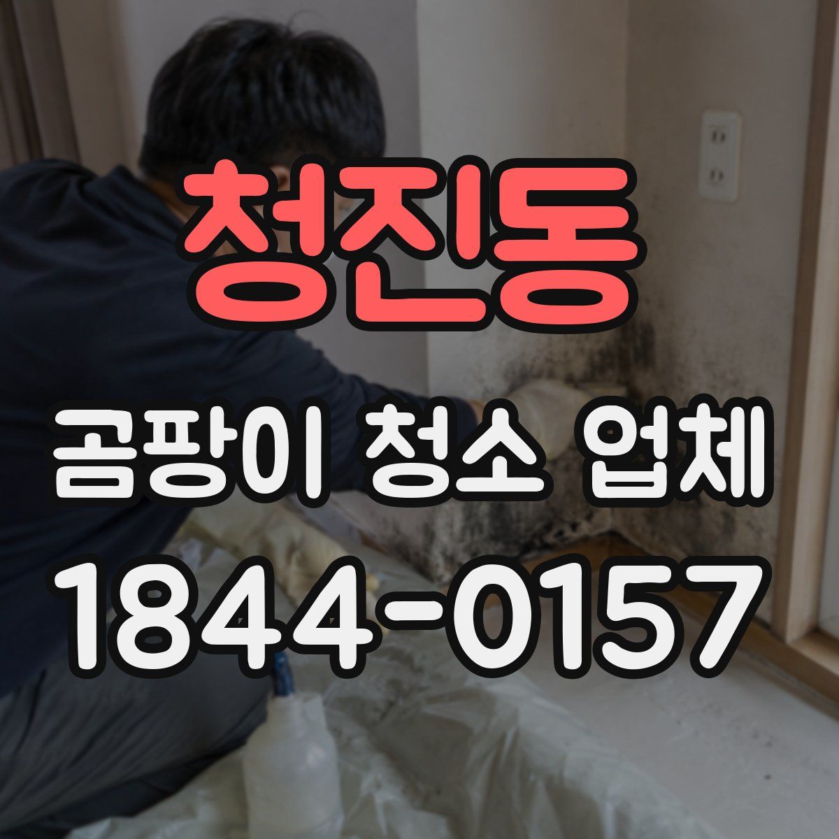 청진동 곰팡이 청소 업체