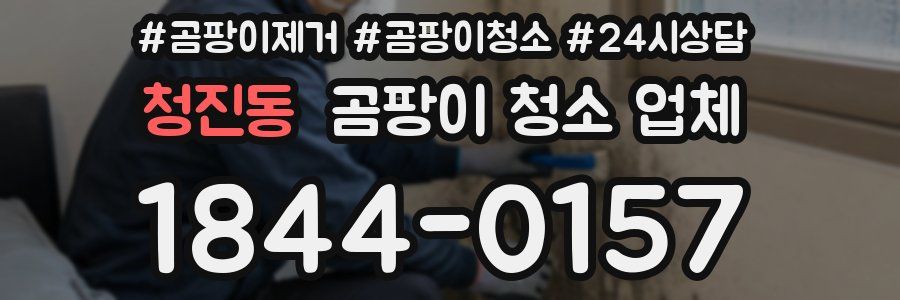 청진동 곰팡이 청소 업체
