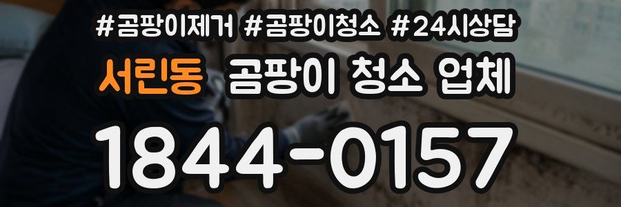 서린동 곰팡이 청소 업체
