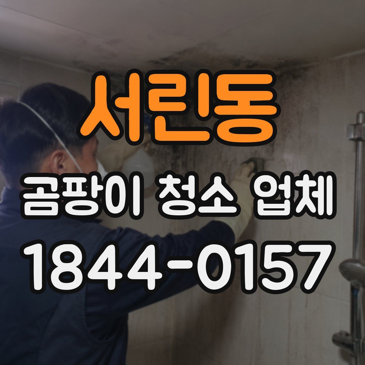 서린동 곰팡이 청소 업체