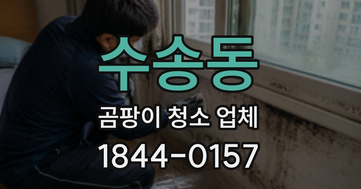 수송동 곰팡이 청소 업체