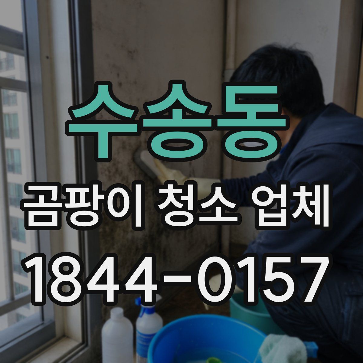 수송동 곰팡이 청소 업체