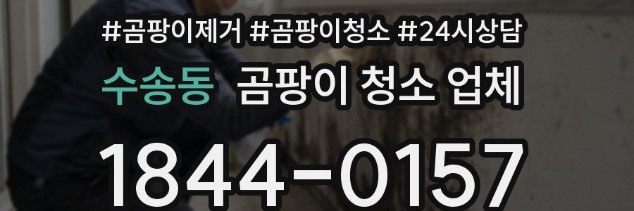 수송동 곰팡이 청소 업체